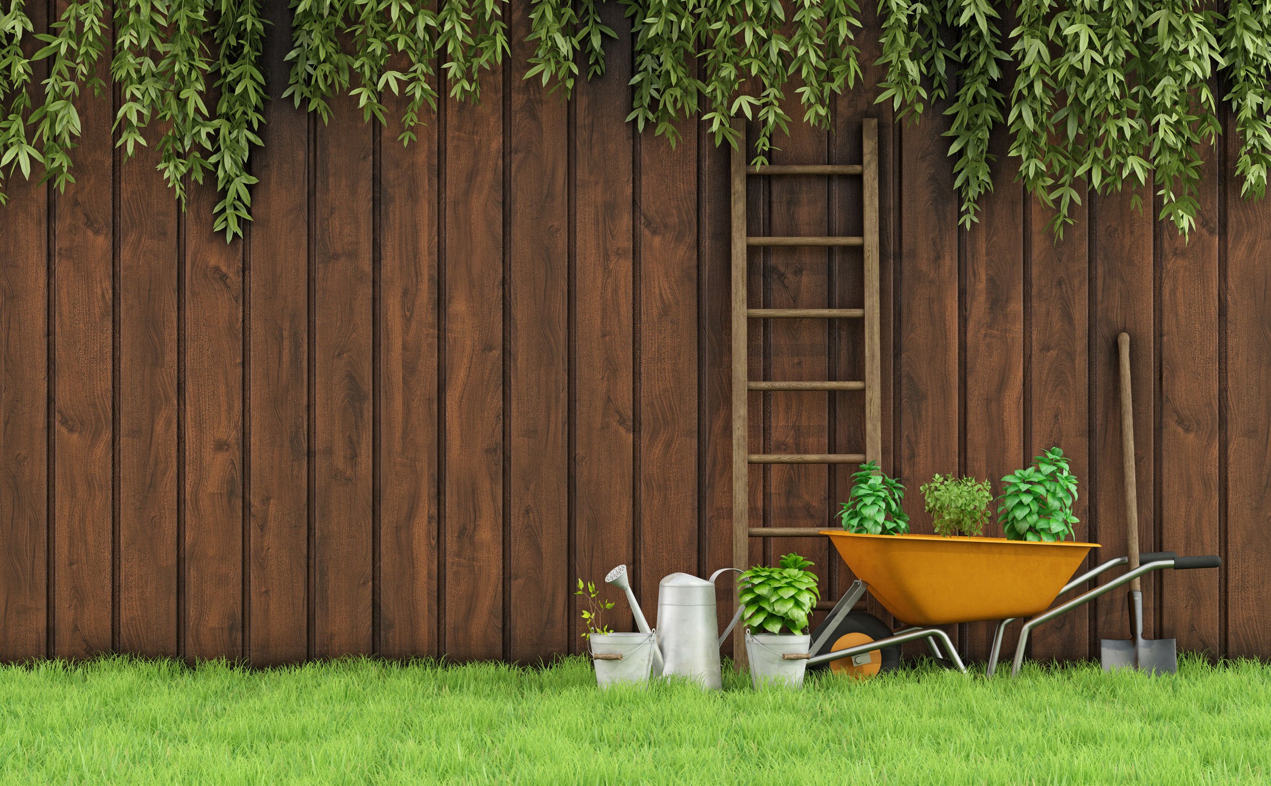 Clôture en bois dans un jardin, rendu 3D, prix clôture